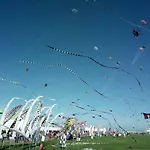L'ecoutille *